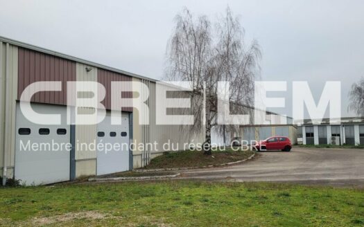 L LOCAL D'ACTIVITES de 4027 m²