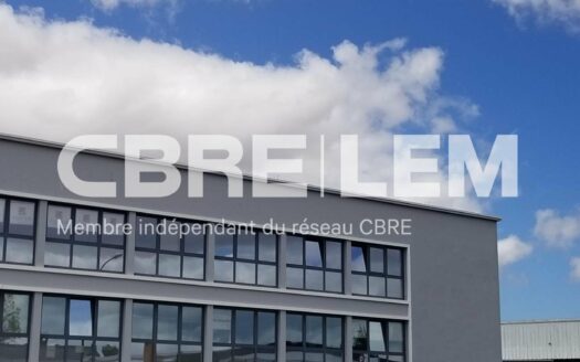 L BUREAUX de 181 m²