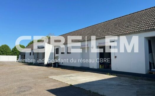 L LOCAL D'ACTIVITES de 600 m²