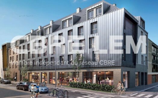 V LOCAL COMMERCIAL de 517.88 m²