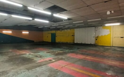 L LOCAL D'ACTIVITES de 470 m²