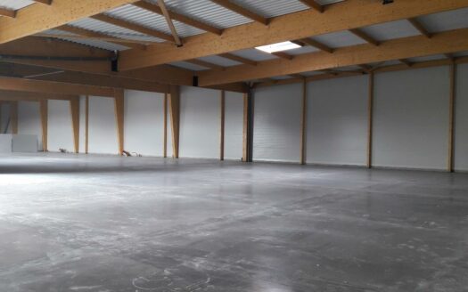 L LOCAL D'ACTIVITES de 3895 m²