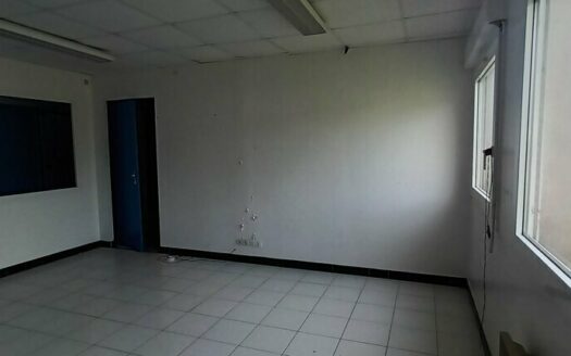 L BUREAUX de 175.25 m²