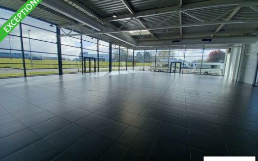 V LOCAL COMMERCIAL de 3313 m²